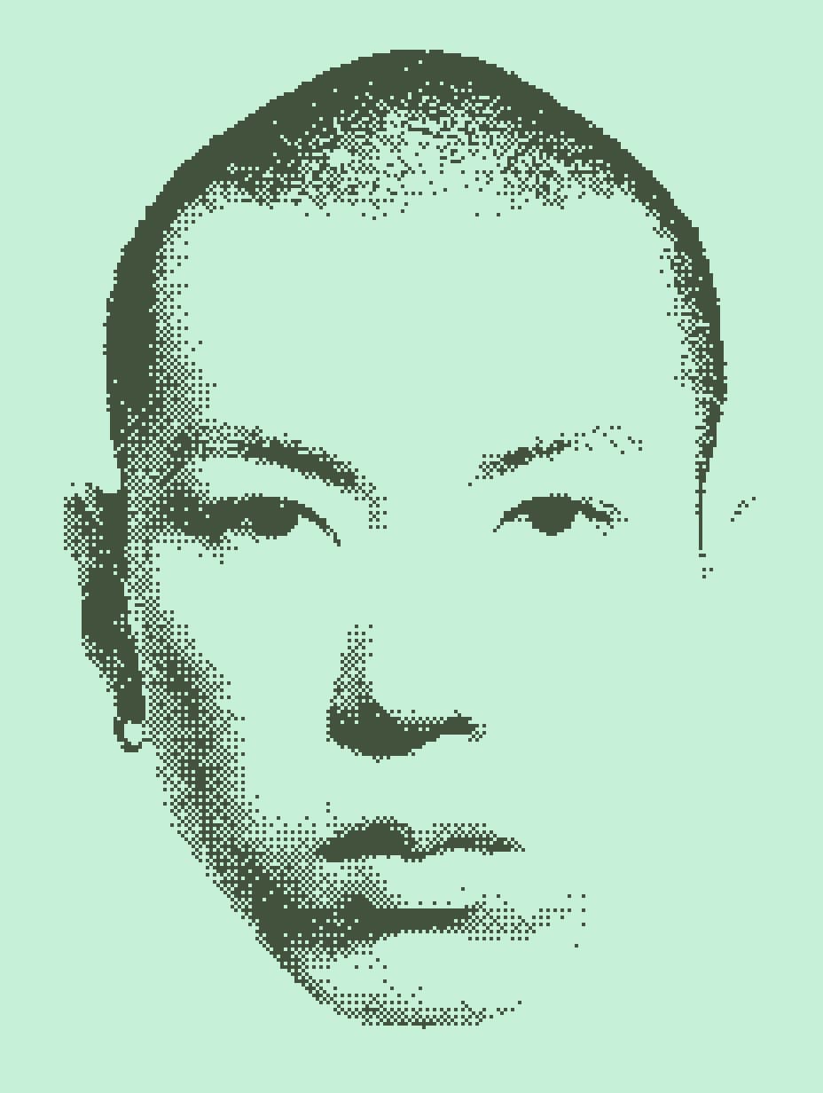 Two-color Nokia 3310 palette matched in the Dither effect