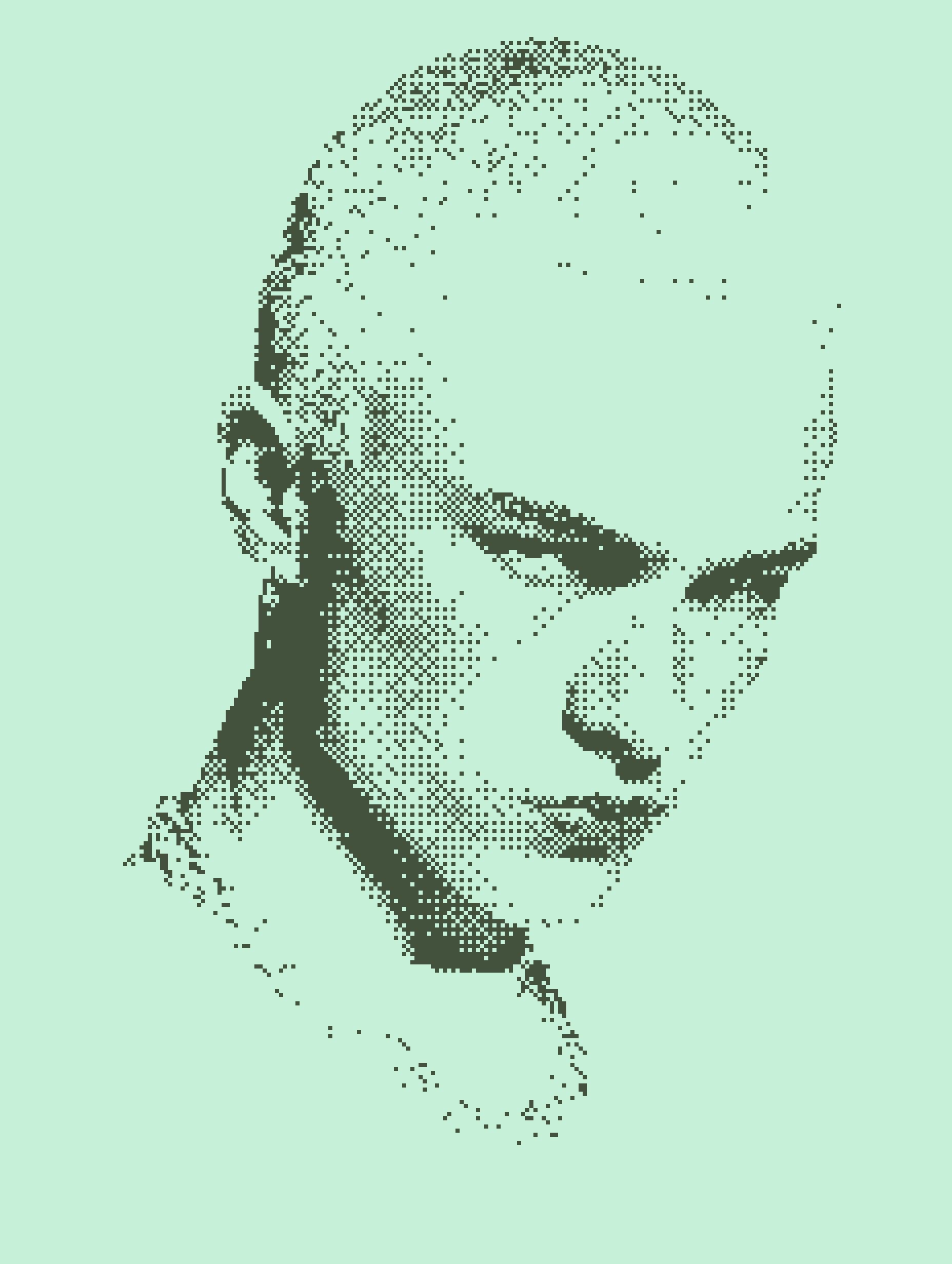 Second Nokia 3310 preset example with pixelated two-color texture
