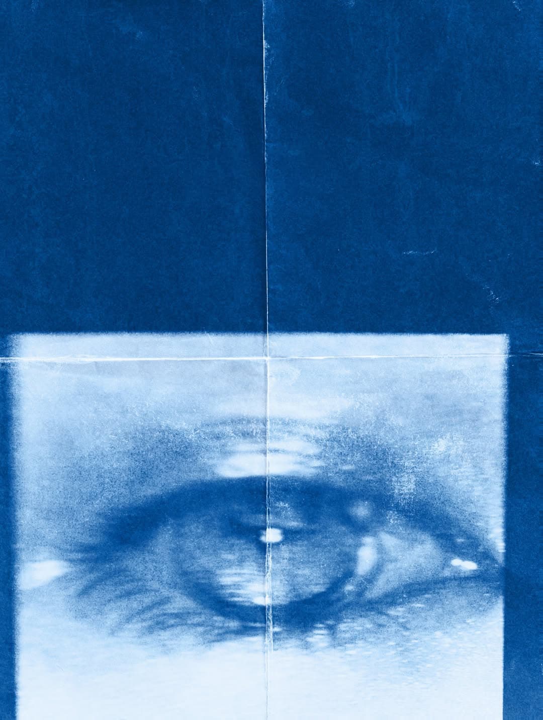 Example created with Cyanotype effect