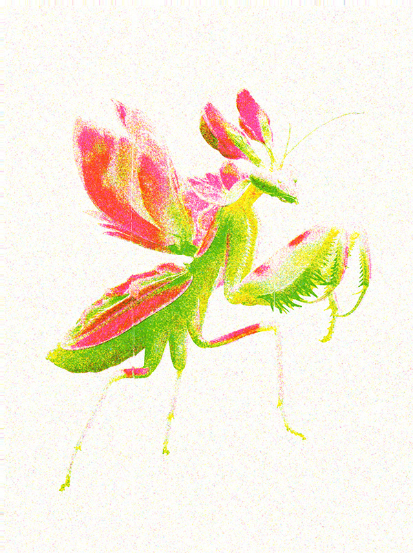 Example created with Risograph effect