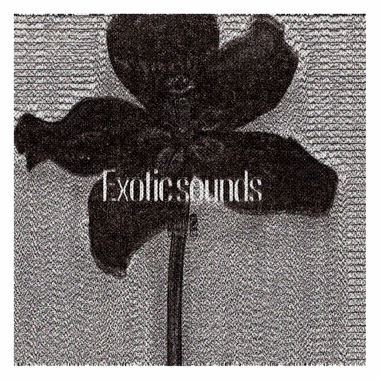 Add texture and details